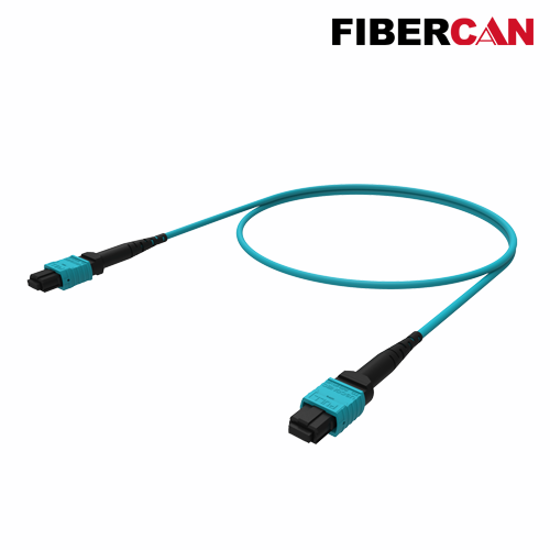Fiber Optic MTP and MPO Patch Cord