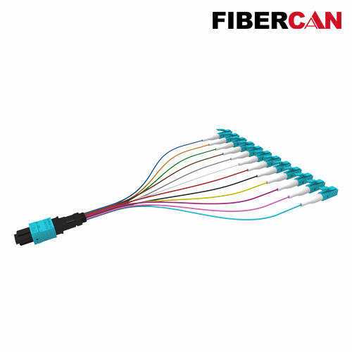 MTP-12*LC Cable Assembly