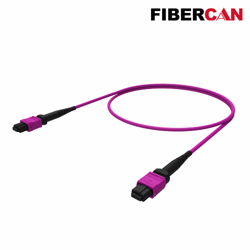 Fiber Optic MTP and MPO Patch Cord